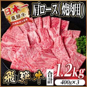 ˋ@I[X(ēEBBQp)1.2kg(400g×3)@A4`A5yⓀցzyzsnFzy1674166z