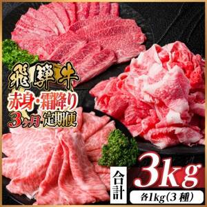 yցzˋ ԐgE~ v3kg@ē BBQ Ă ԂԑS3yzsnFzy4074985z