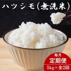 yցz򕌌YncV() 5kgS2yzsnFzy4076366z