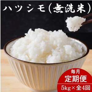 yցz򕌌YncV() 5kgS4yzsnFzy4076368z