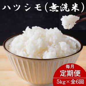 yցz򕌌YncV() 5kgS6yzsnFzy4076378z