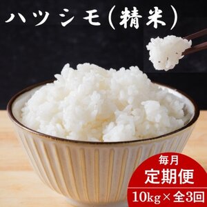 【毎月定期便】岐阜県産ハツシモ(精米) 10kg全3回【配送不可地域：離島】【4076383】