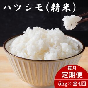 yցz򕌌YncV() 5kgS4yzsnFzy4076404z