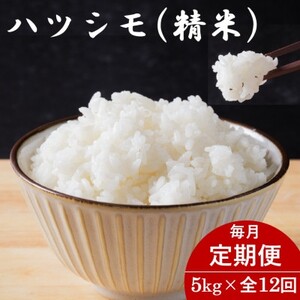 yցz򕌌YncV() 5kgS12yzsnFzy4076409z