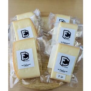 セミハードチーズ Field 2種セット[配送不可地域:離島]