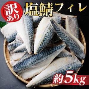 �y�󂠂�z�m���E�F�[�Y�@�����΁@�t�B���@��5kg�y�z���s�n��F�����z�y1697928�z