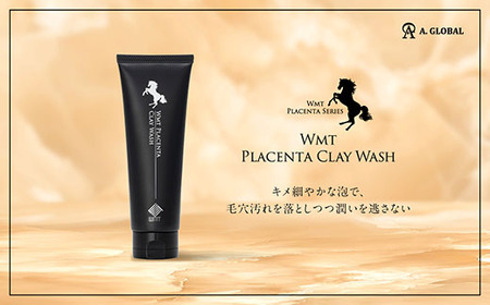 WMT PLACENTA CLAY WASH (美容 スキンケア)