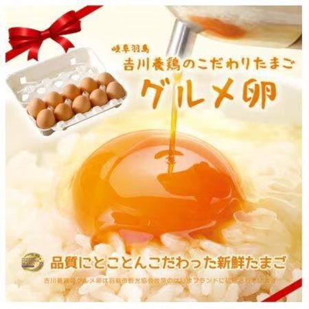 吉川養鶏のグルメ卵(L～Mサイズ10個×3パック)　贈答箱　観光協会推奨【はしまブランド】認定品　【配送不可地域：離島】【1720134】