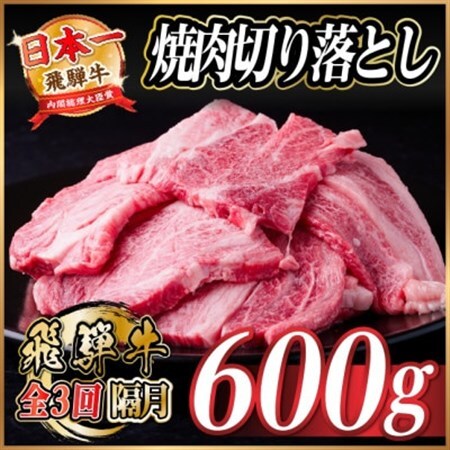 [2ヵ月毎定期便]飛騨牛 焼肉切り落とし 約600g(約300g×2)タレ付き 訳あり全3回[配送不可地域:離島]