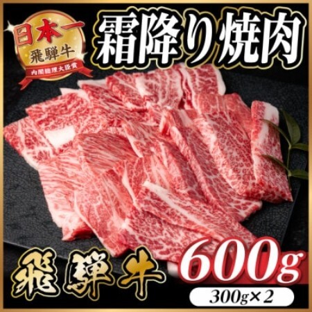 飛騨牛 霜降り焼肉 約600g(約300g×2)BBQ用 小分け[配送不可地域:離島]