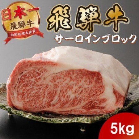 飛騨牛 サーロインブロック5kg (焼肉・ステーキ・すき焼きしゃぶしゃぶ用) 養老ミート[配送不可地域:離島]