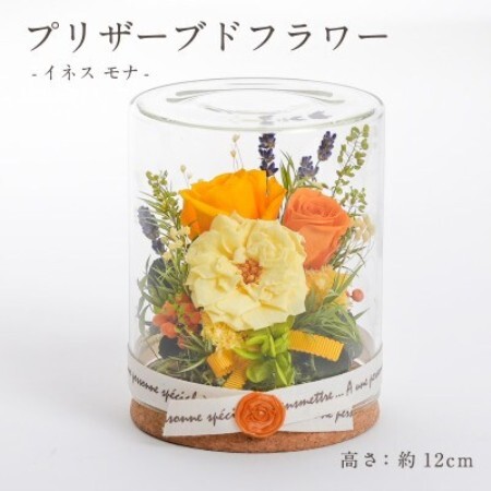 プリザーブドフラワー ガラスケース入りアレンジ [イネス モナ(イエロー)]