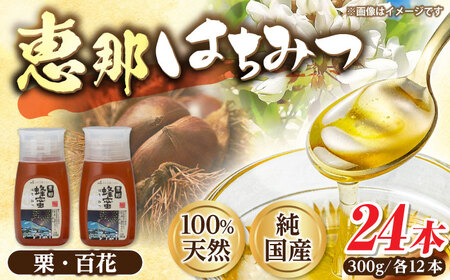 恵那蜂蜜 24本セット (百花蜂蜜300g×12本、栗蜂蜜300g×12本) / 恵那市 / はち工房こうけつ [AUDF045]