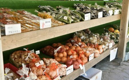 中野方町の特産品! 旬の農産加工物セット 棚田米入り[AUCB001]米