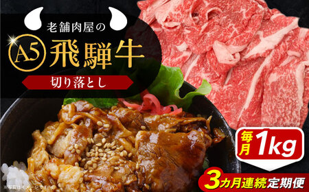 [3回定期便] 飛騨牛 切り落とし肉 A5ランク 1kg 和牛 国産 霜降り 恵那市 / 岩島屋[AUAJ033]