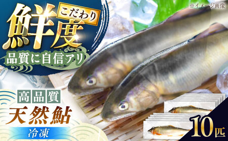 [冷凍]天然あゆ 19〜22cm 10匹入り(1キロ) / あゆ 天然 鮎 冷凍 / 恵那市 / 恵那物産館[AUFS008]