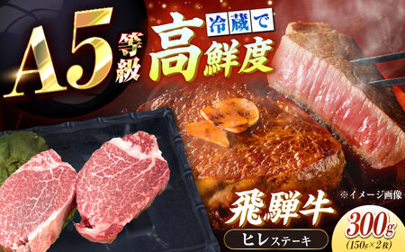 [チルド(冷蔵)発送!]「飛騨牛」 A5等級 ヒレステーキ 150g×2枚 / ヒレステーキ ヒレステーキ ヒレステーキ / 恵那市 / 東美濃農業協同組合[AUFX016]
