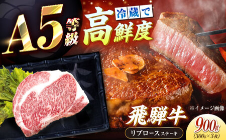 [チルド(冷蔵)発送!] 「飛騨牛」 A5等級 リブロース ステーキ用 300g×3枚 / 飛騨牛 牛肉 牛肉 牛肉 牛肉 / 恵那市 / 東美濃農業協同組合[AUFX022]