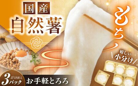 自然薯冷凍とろろ(180g×3)540g / とろろ とろろ とろろ とろろ とろろ / 恵那市 / 水戸屋[AUFZ003]