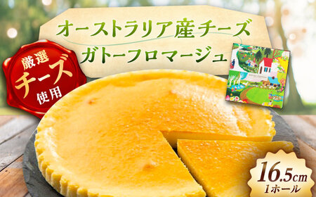 チーズケーキ ガトーフロマージュ[AUBG058]チーズケーキチーズケーキチーズケーキチーズケーキ