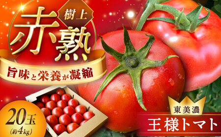 赤熟もぎりのひがしみの王様トマト 20玉(約4kg) [AUDS002]大玉トマト大玉トマト大玉トマト大玉トマト大玉トマト