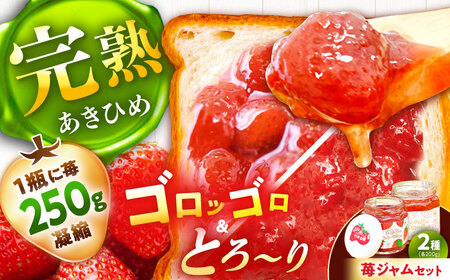 苺ジャム2種セット / 恵那市 / 阿部農園 [AUGA004]