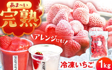 [先行予約][2026年1月中旬より順次発送]冷凍いちご 1kg [AUAH023]冷凍いちご