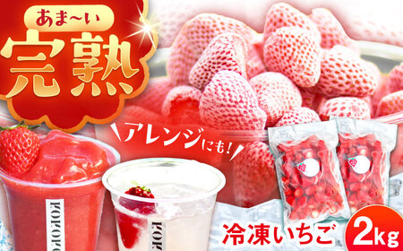 ys\zy2026N1{菇zⓀ 2kg [AUAH024]Ⓚ