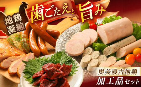 �����Z�Òn�{B�Z�b�g / �b�ߎs / �����H�Y[AUBW006]�{���n���\�[�Z�[�W�Z�b�g