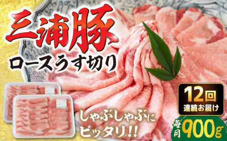 �y12�����ցz �O�Y�� �ؓ� ���[�X900���i����Ԃ���ԗp�j�b�ߎs / ���Âܐ����X [AUDL017]�ؓ�