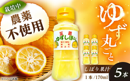 かさぎのゆず 丸ごとゆずしぼり果汁 170ml×5本 / 恵那市 / かさぎゆず組合[AUAW018]