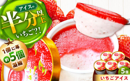 いちごアイス5個入り / 苺 いちご イチゴ アイス いちごアイス / 恵那市 / 阿部農園[AUGA010]