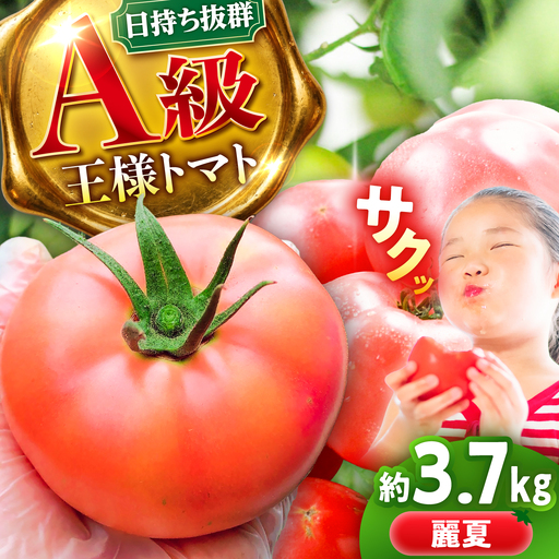 [7月上旬から順次発送]王様トマト 3.7kg 箱入り / トマト とまと 箱入り 3.7キロ 国産 / 恵那市 / 阿部農園[AUGA005]