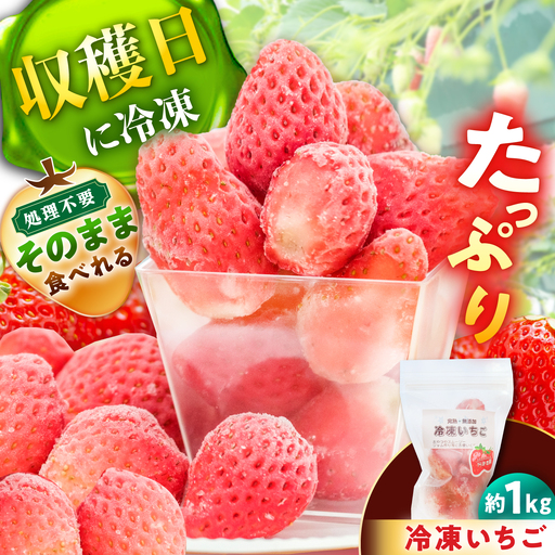 冷凍いちご 1kg / 苺 いちご 冷凍 1キロ 冷凍いちご / 恵那市 / 阿部農園[AUGA013]