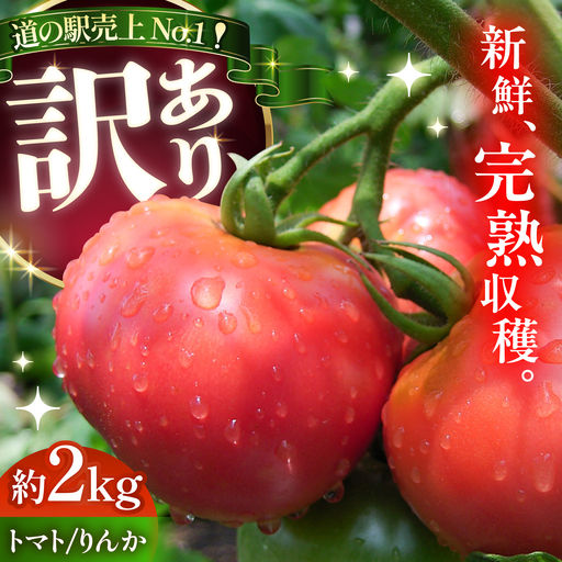 【訳あり】 トマト 約2キロ / とまと 野菜 果物 訳アリ 恵那市 / 馥郁農園[AUCK013]