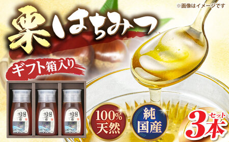 恵那蜂蜜 3本 ギフト箱入りセット (栗蜂蜜300g×3本) / 恵那市 / はち工房こうけつ [AUDF009]