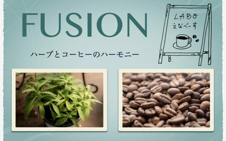 [先行受付/2025年5月以降発送]ハーブとコーヒーのハーモニー 6種類各1袋 / コーヒー コーヒー コーヒー コーヒー コーヒー コーヒー 珈琲 ハーブ / 恵那市 / コーヒーロースト恵那店 [AUEJ001]