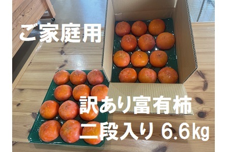 [先行受付][ 数量限定 ]精華園 の 家庭用 訳あり 富有柿(18個〜28個)約6.6kg | M18S36
