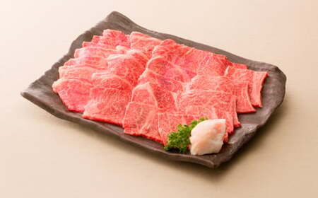 飛騨牛 焼肉・バーベキュー用 肩ロース 約600g