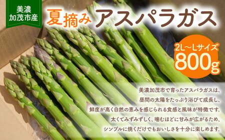 [2025年6月中旬〜7月下旬 発送予定][夏収穫]アスパラガス 800g | 神戸ファーム 野菜 アスパラ 新鮮 旬 グリーンアスパラ