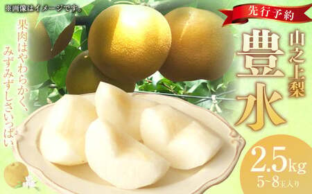 [先行予約]「丸坂山田農園」 山之上梨 豊水 1箱 (約2.5kg/5〜8玉)[2025年8月下旬〜9月上旬 発送予定]│梨 ナシ 冷蔵 岐阜県産 国産 岐阜県 美濃加茂市
