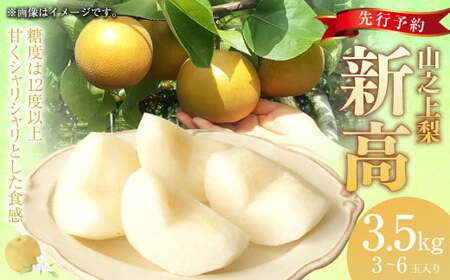 [先行予約]「丸坂山田農園」 山之上梨 新高 1箱 (約3.5kg/3〜6玉)[2025年9月上旬〜9月下旬 発送予定]│ 梨 果物 フルーツ 冷蔵 岐阜県産 国産 岐阜県 美濃加茂市