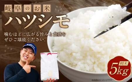 [先行予約]令和7年産 岐阜のお米 ハツシモ 初霜 5kg 米 お米 白米 岐阜県 美濃加茂市[2025年11月上旬〜2026年5月下旬 発送予定]