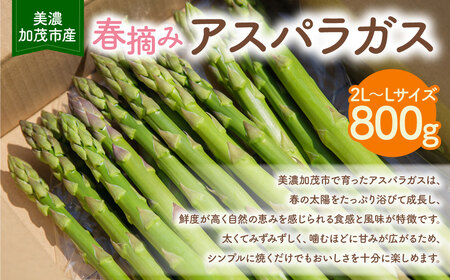 ss\t AXpKX 800g i2L`LTCYj y2026N3{-5{ \z | _˃t@[  AXp VN { O[AXp