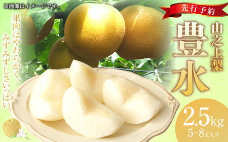 [先行予約]「丸坂山田農園」 山之上梨 豊水 1箱 ( 約2.5kg / 5〜8玉 ) [2026年8月下旬〜9月下旬 発送予定] │ 梨 ナシ なし くだもの 果物 果実 フルーツ 冷蔵 岐阜県産 国産