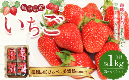 [数量限定] 岐阜県産 いちご 「 濃姫 」または「 紅ほっぺ 」または「 美濃娘 」 1ケース (約 250g × 4パック入) 苺 イチゴ くだもの 果物 果実 フルーツ 冷蔵 岐阜県産 国産 [2026年1月上旬〜2月下旬順次発送予定]