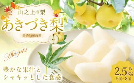 [先行予約] 「山之上果実農業協同組合」 山之上の梨 あきづき梨 1箱 約 2.5kg 5-8玉 梨 なし ナシ フルーツ 果物 旬 [2026年9月上旬-10月上旬 発送予定]