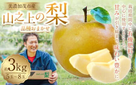 [先行予約] 山之上の梨 ( 品種はおまかせ ) 約3kg( 5〜8玉 ) 10000円 1万円 愛甘水・幸水・豊水・あきづき・秋のほほえみ・甘太 なし フルーツ 冷蔵 岐阜県産 国産 岐阜県 美濃加茂市 送料無料 [2026年8月下旬〜10月上旬発送予定]