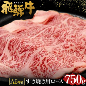 飛騨牛 A5 等級 すき焼き 用( ロース 750g ) | 肉のかた山 牛肉 冷凍 M48S25