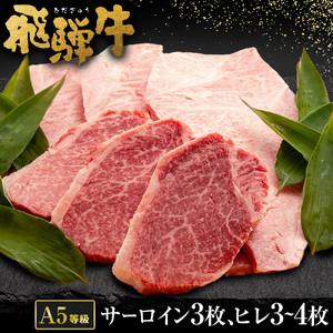 飛騨牛 A5 等級 サーロイン (3枚)& ヒレ (3〜4枚) | 肉のかた山 ステーキ 牛肉 M80S17